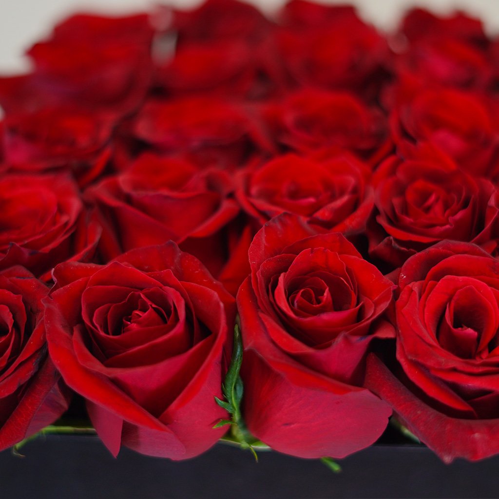 Ruby Romance Wrap - Image 4