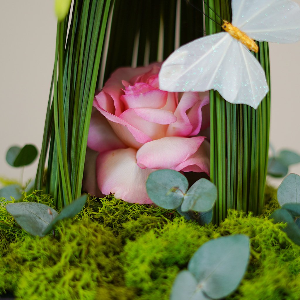 Enchanted Meadow Box - Image 4