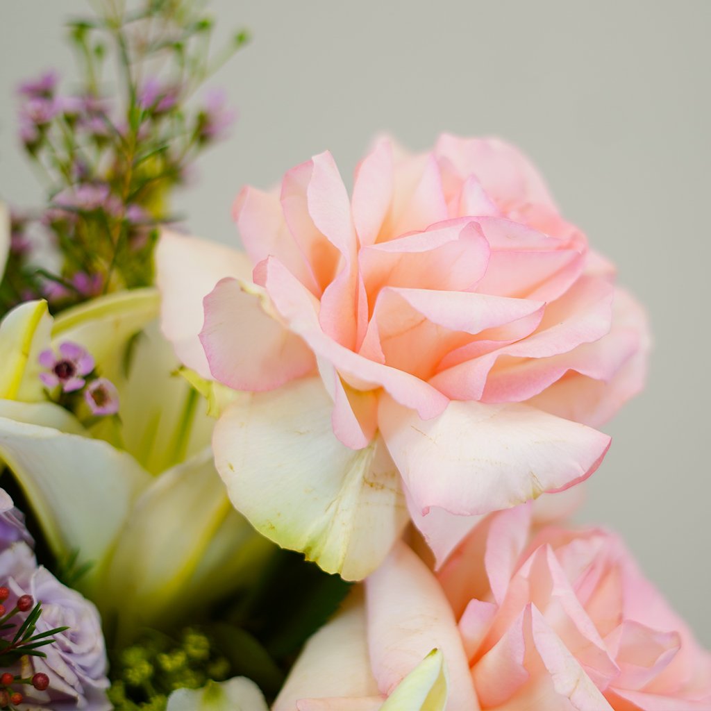 Pink Blossom Harmony - Image 4