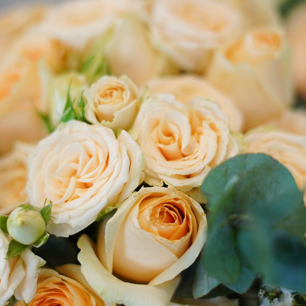 Peach Luxe Bowl - Image 2