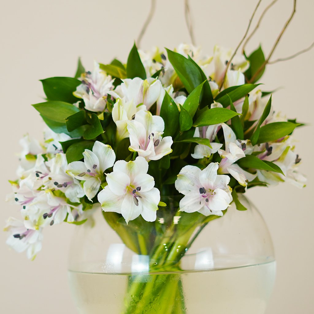 Alstro Elegance Round - Image 3