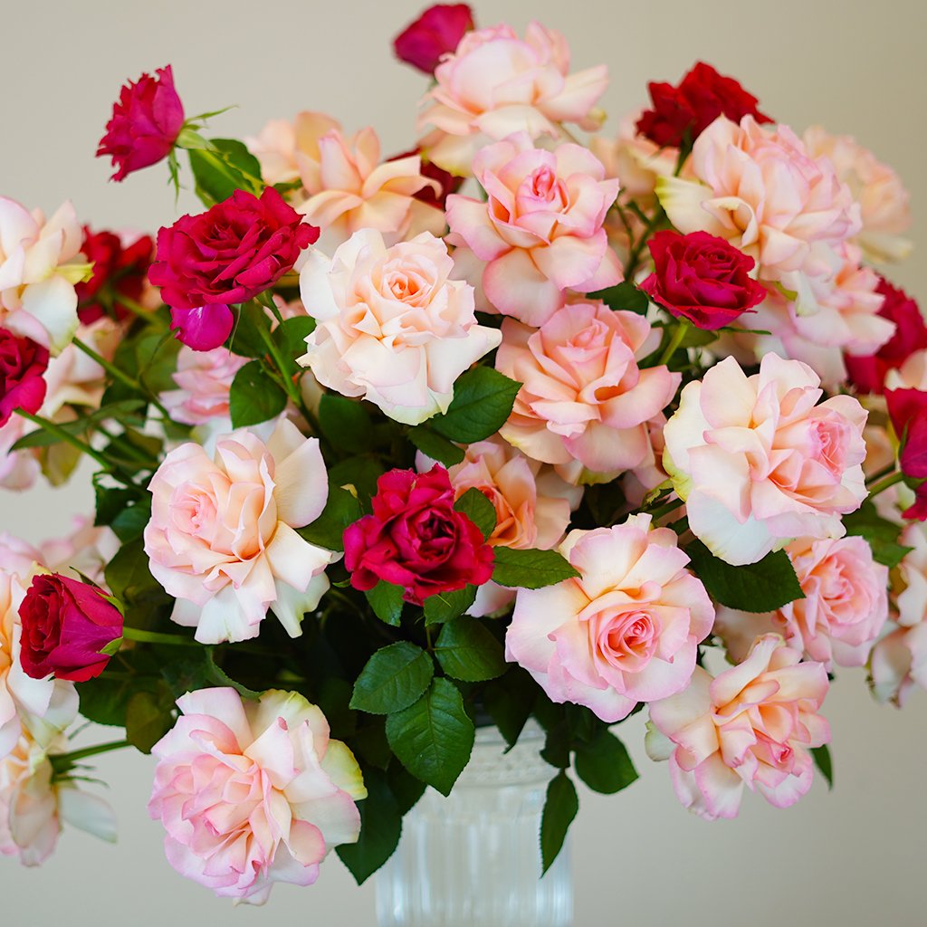 Garden of Grace - Image 3