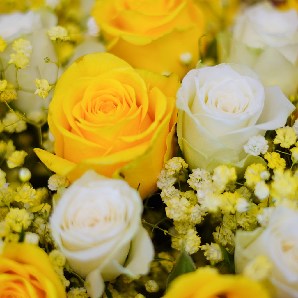 Sunrise & Snowfall - Image 3