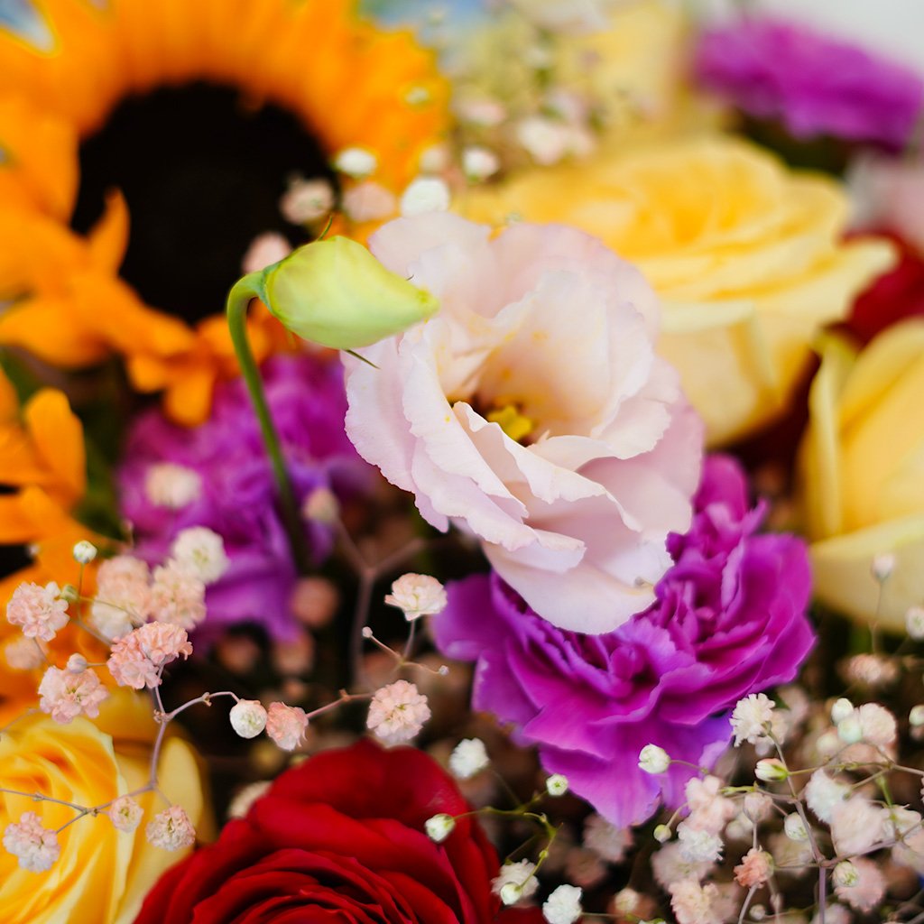 Summer Radiance Luxe - Image 3