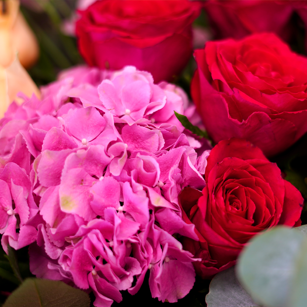 Rose Garden Bloom - Image 3