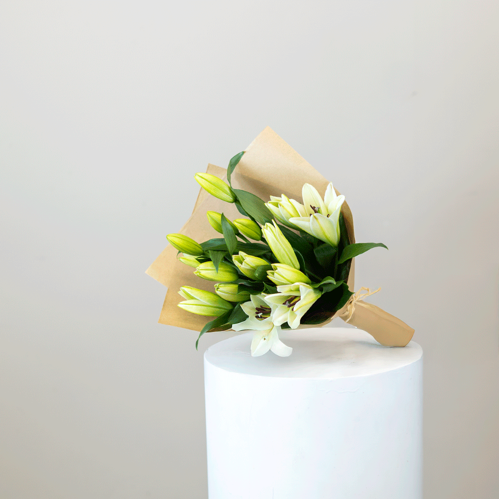 Lily Dewlight - Image 3