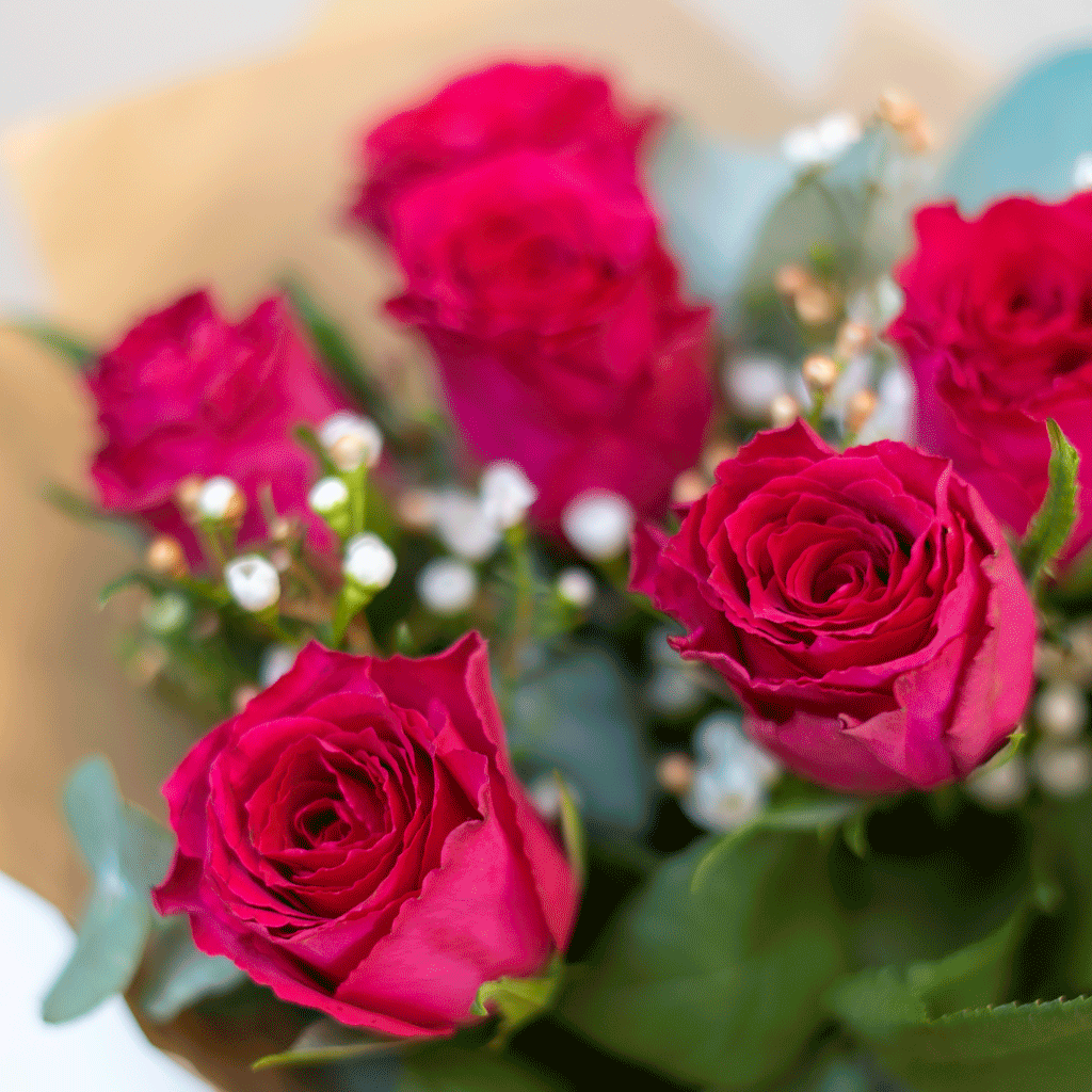 Pink Spark Harmony - Image 2