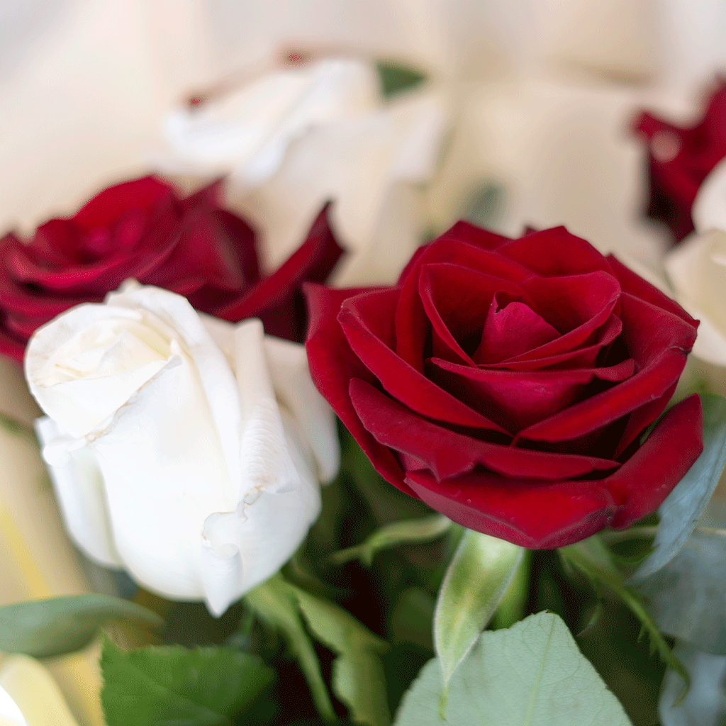 Mini Love Story - Image 2