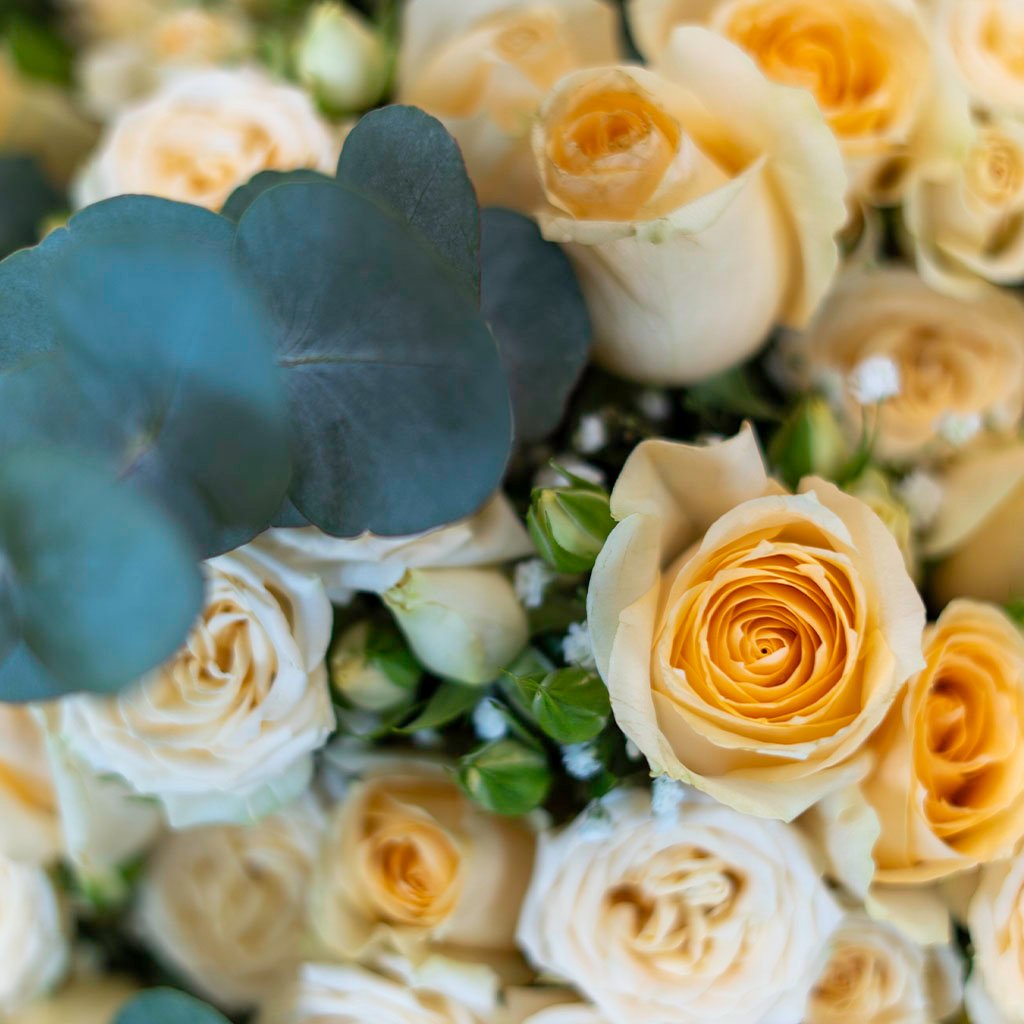 Eucalyptus Peach Whisper - Image 2