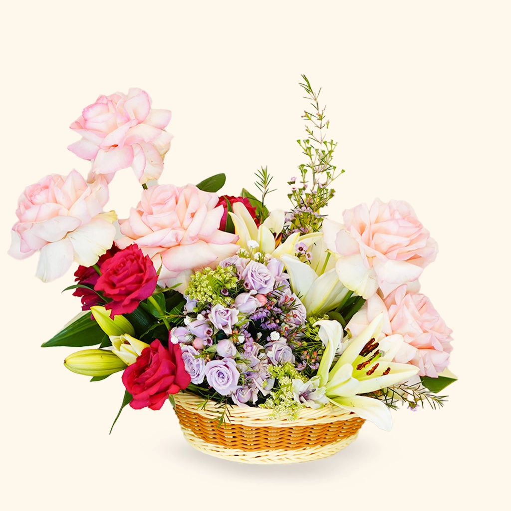 Pink Blossom Harmony