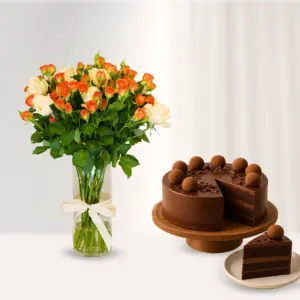 Apricot Haze & Truffle Cake