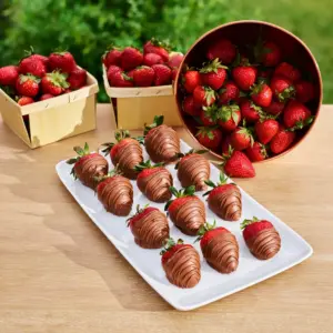 Dipped Chocolate Strawberries, 25PC